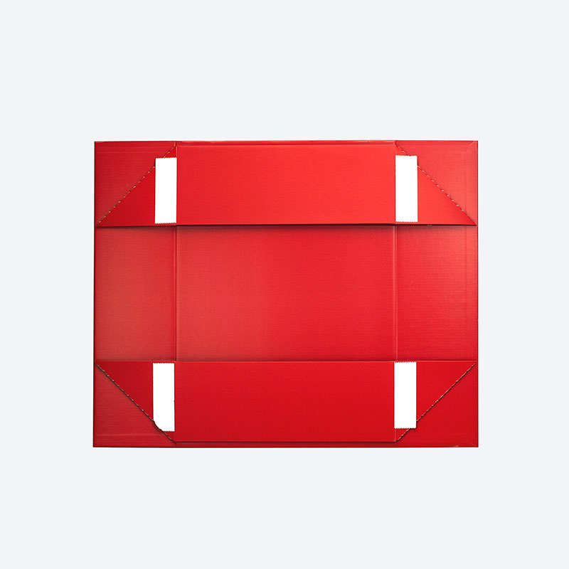 Caja de Presentación Magnética - Party Games Gender Reveal reseña y precio